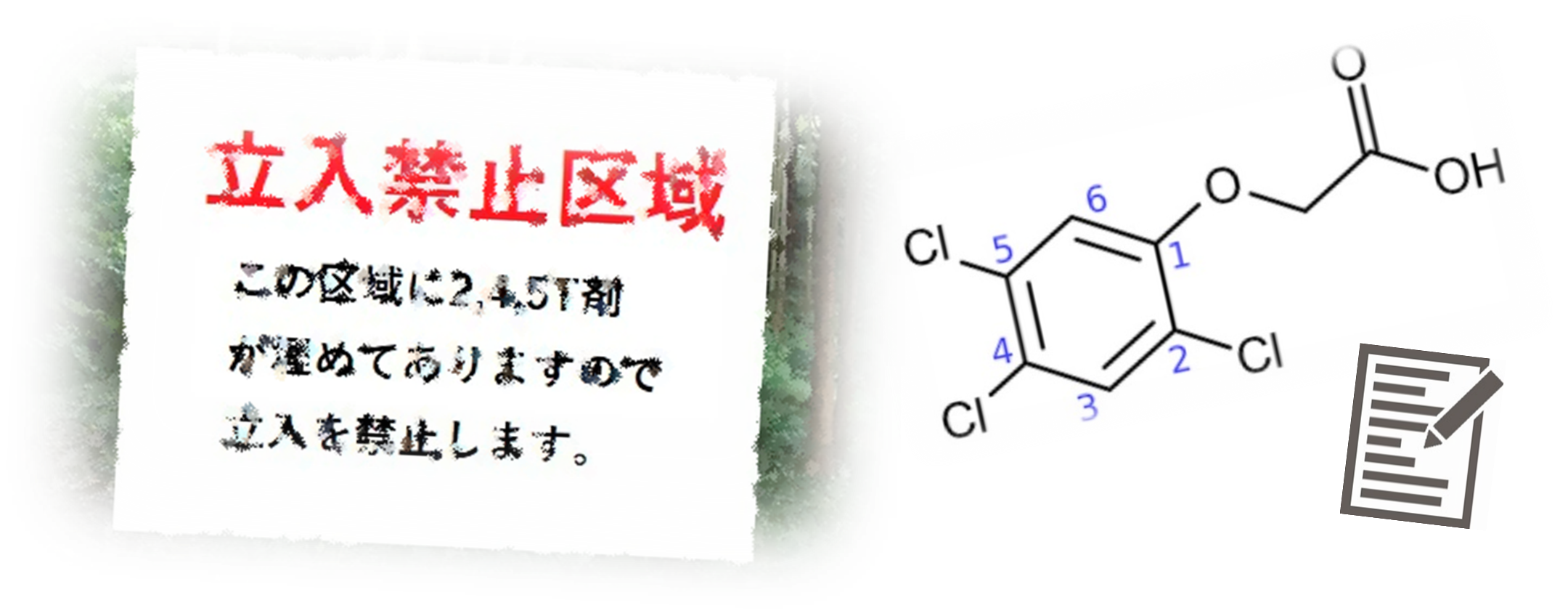 2,4,5-T分析