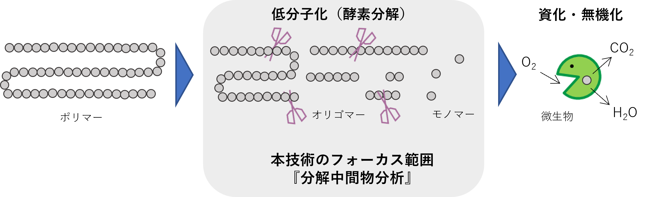 図　生分解性プラスチックの分解過程の模式図