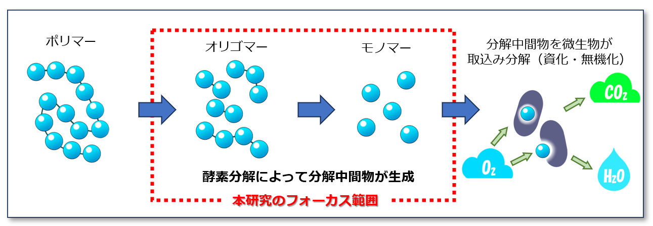 メカニズムを考察する