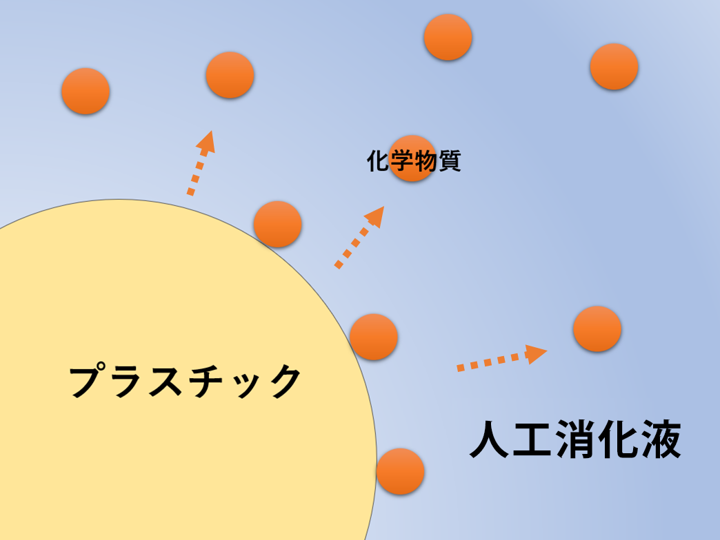 化学物質が収着したプラスチックを疑似消化液に移し、どのくらい脱離するかを調査