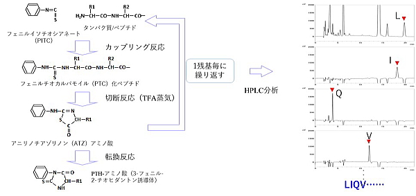 04_ppsq_ana