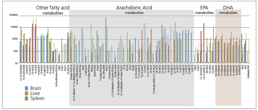 マウス組織の脂質メディエータープロファイル