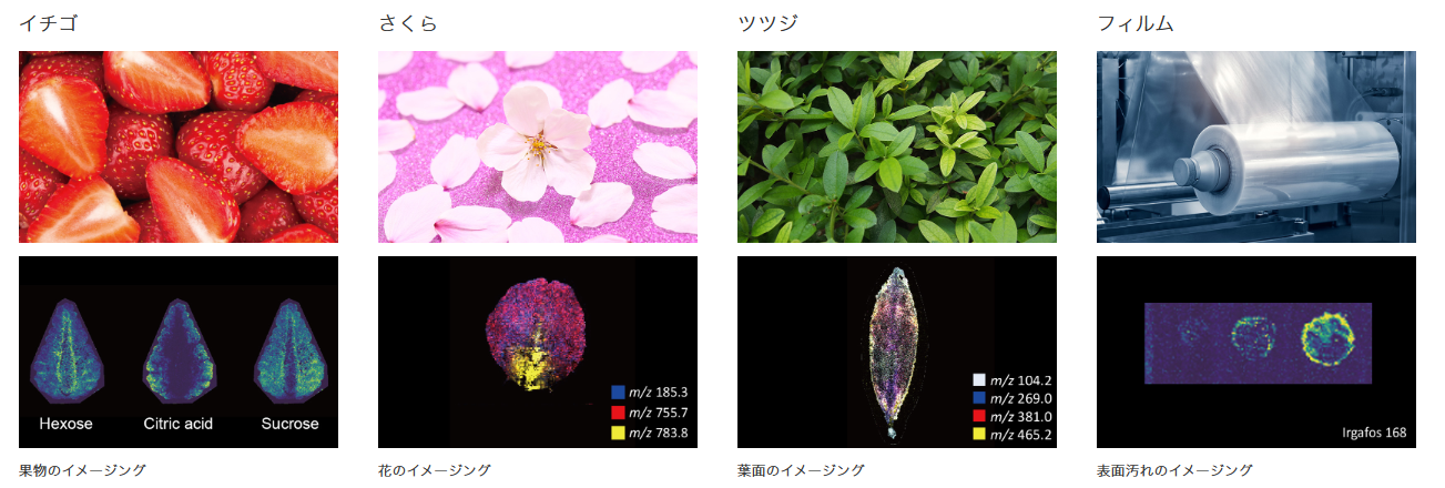 Poropareを用いたイメージングの測定例
