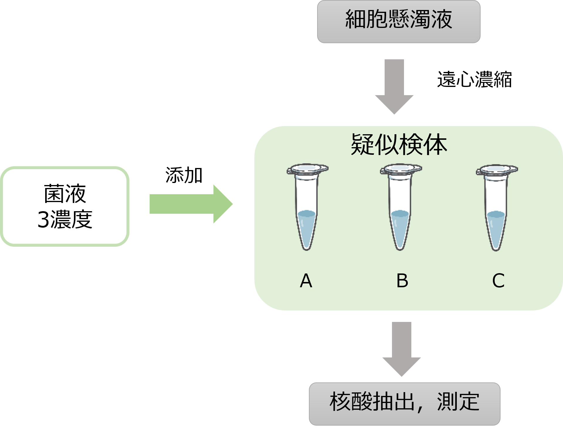マイコプラズマ否定試験