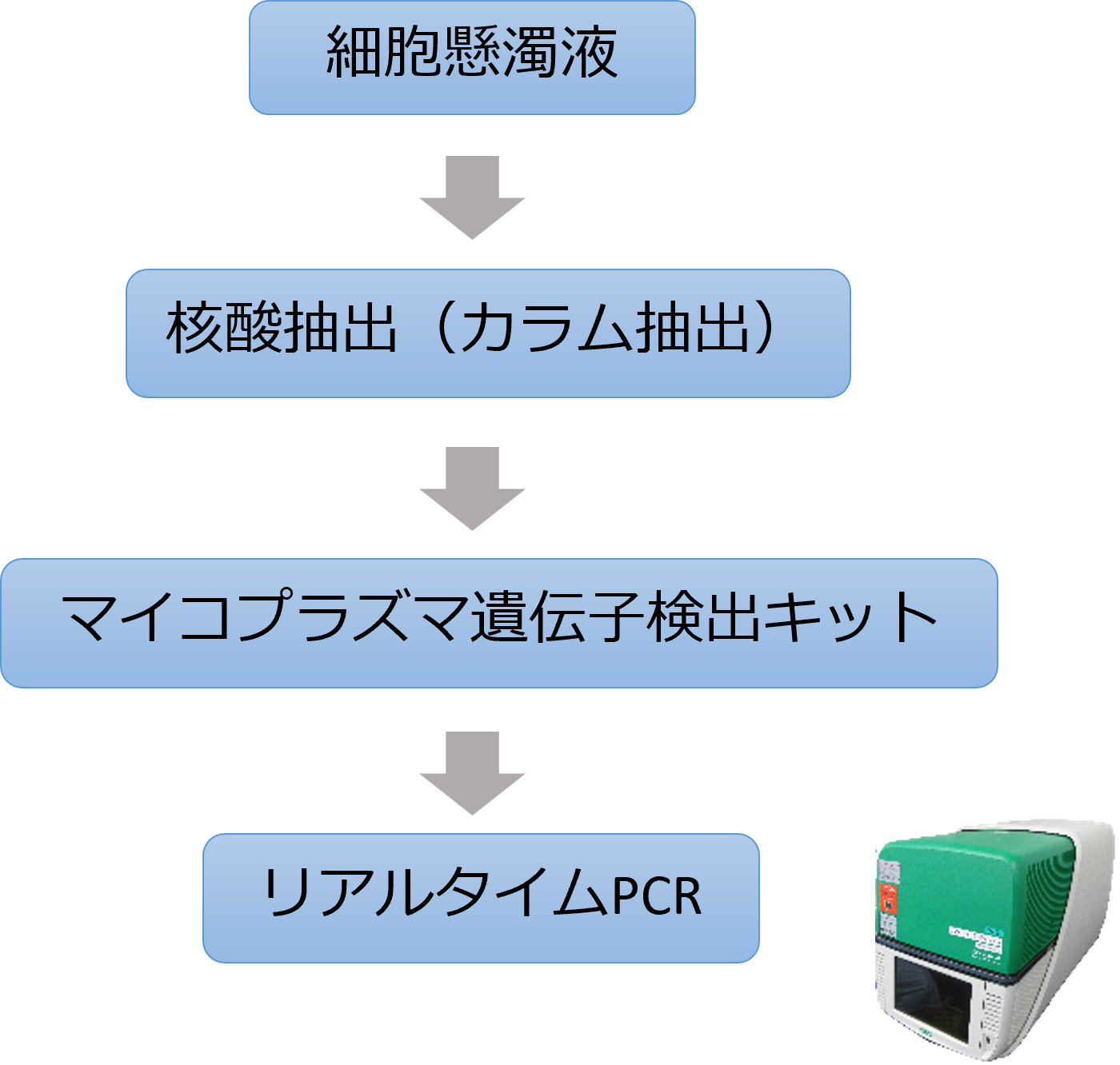 試験フロー