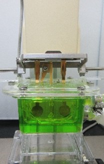 SV-10