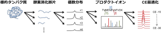 予想されるMRM条件の組み合わせ数