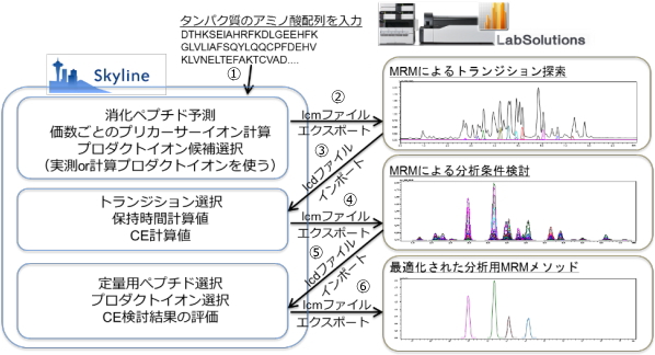 Skylineを用いたMRMメソッド開発フロー