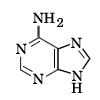 アデニン