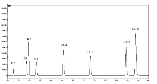 図1　無機ガス及び低級炭化水素の一斉分析例