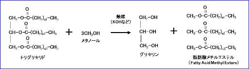 図1　バイオディーゼル燃料の生成反応
