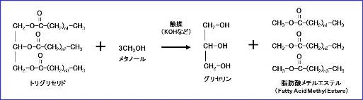 図1 バイオディーゼル燃料の生成反応