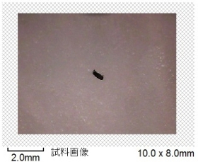 写真2 CCDカメラ像