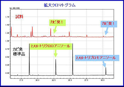 におい嗅ぎ-GC-MSを用いたダンボールの異臭成分（付臭成分）の同定