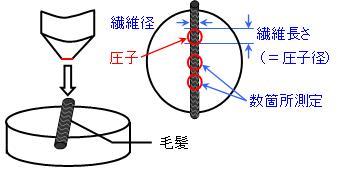 試験方法