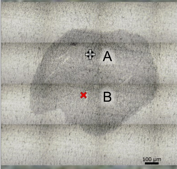 図5　顕微鏡画像