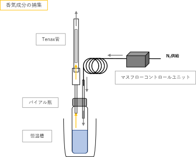 図1　香気成分捕集のイメージ図