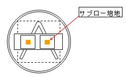 カビ