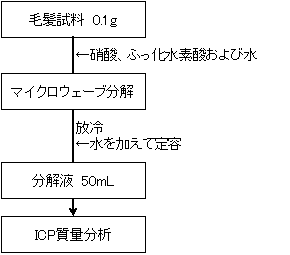 図1 分析フロー