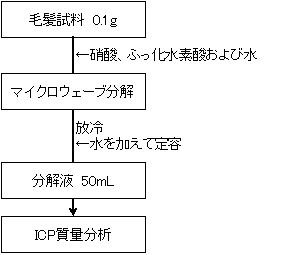 図1　分析フロー