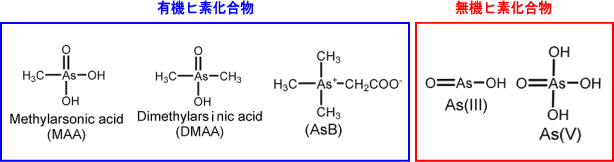 化合物