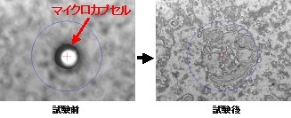 図4 微小圧縮試験前と試験後の写真