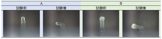 図　試験前後のサイド観察画像