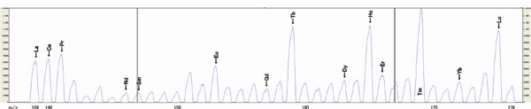図3　レアアース混合溶液のMSスペクトル（一例）