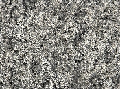 メタノールアミン処理したアルミニウム板