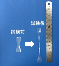 図2 試験前後の写真