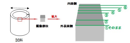 試料