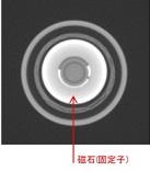 赤線位置でのXY断面像